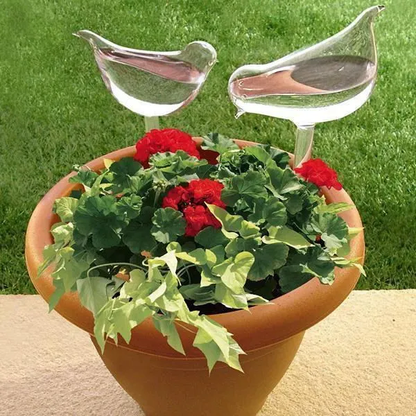 Hot Sale 🌳Self-Watering Plant Bird Type Bulbs